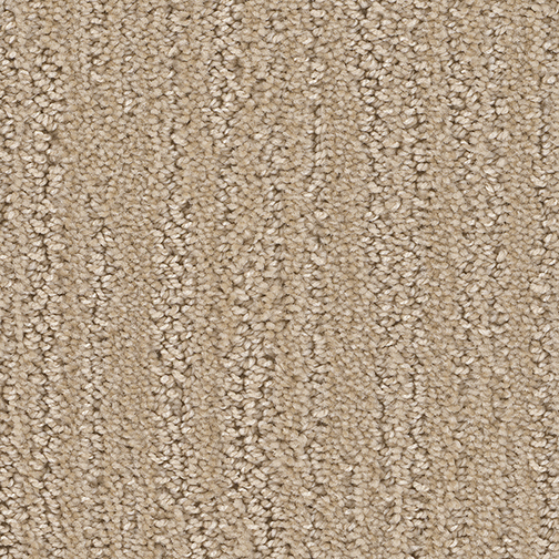 Click to enlarge BAJA