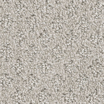 CLAM SHELL