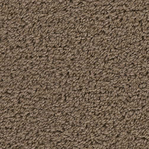 Click to enlarge BUCKSKIN