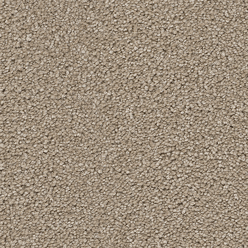 Click to enlarge CASHEW