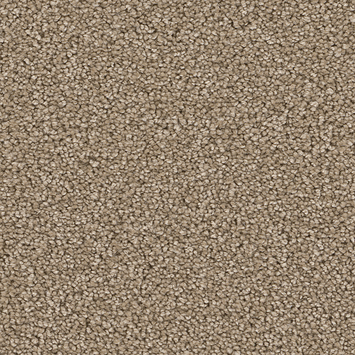 Click to enlarge BAMBOO