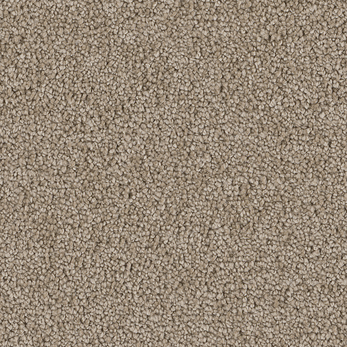 Click to enlarge MUSHROOM