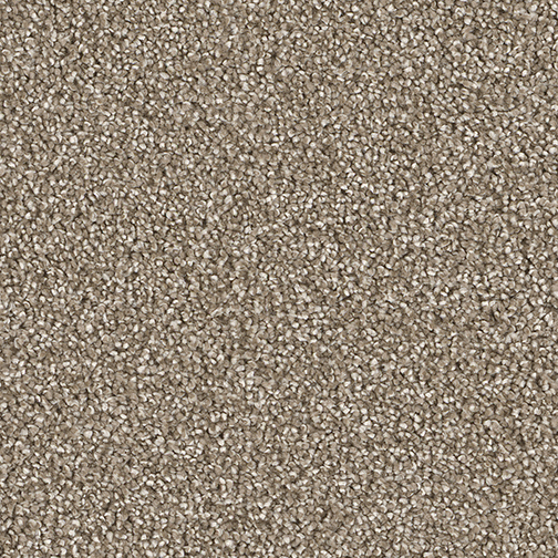 Click to enlarge QUAIL
