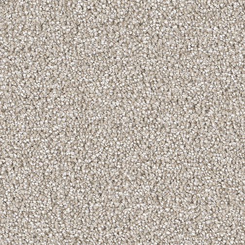 Click to enlarge PARCHMENT