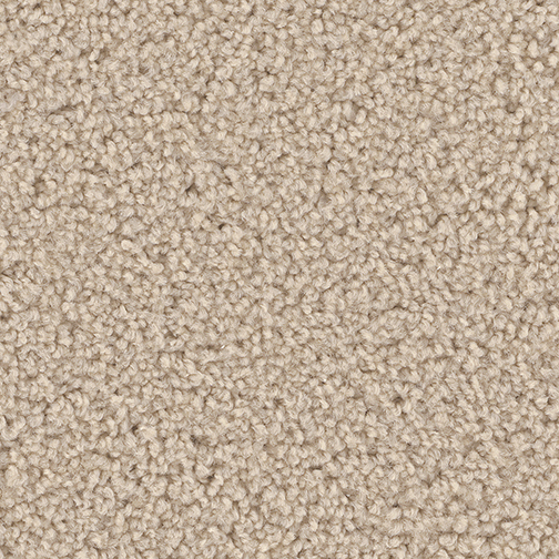 Click to enlarge COOKIE DOUGH