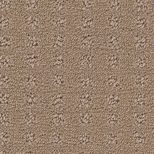 Click to enlarge CASHEW