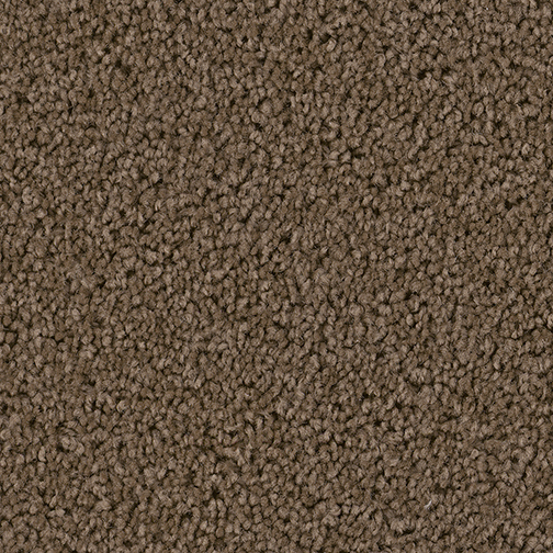 Click to enlarge LATTE