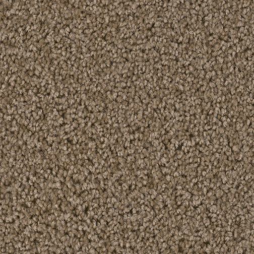 Click to enlarge BALSAM