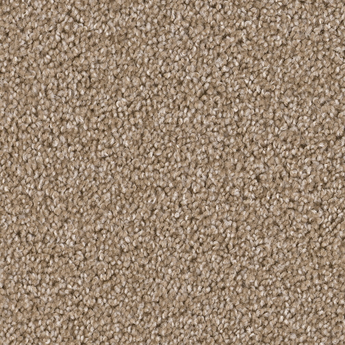 Click to enlarge SAWGRASS