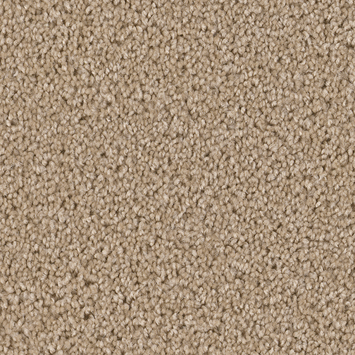 Click to enlarge CAMEL