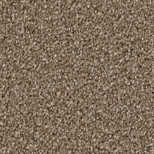 Click to enlarge CHESTNUT