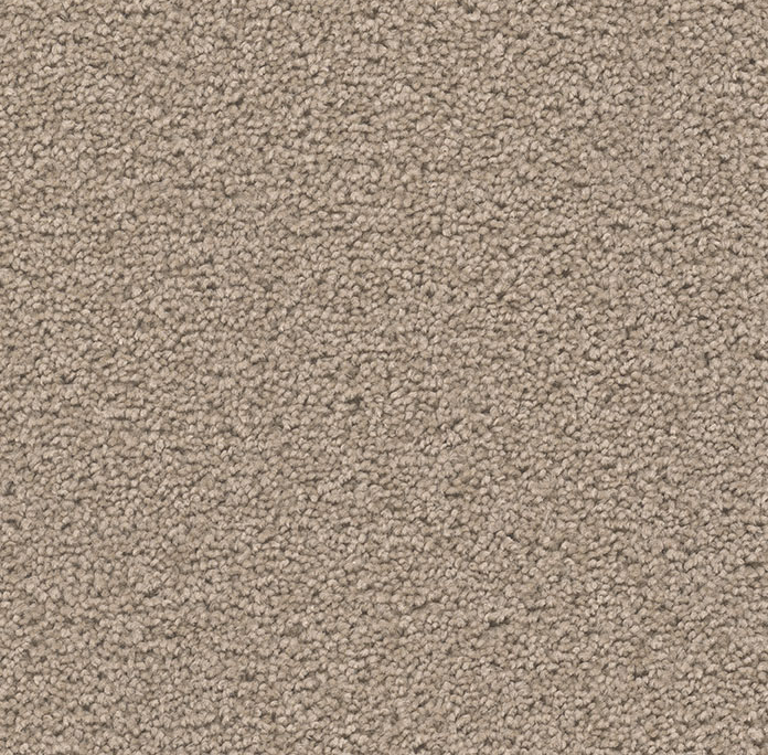 Click to enlarge ASH