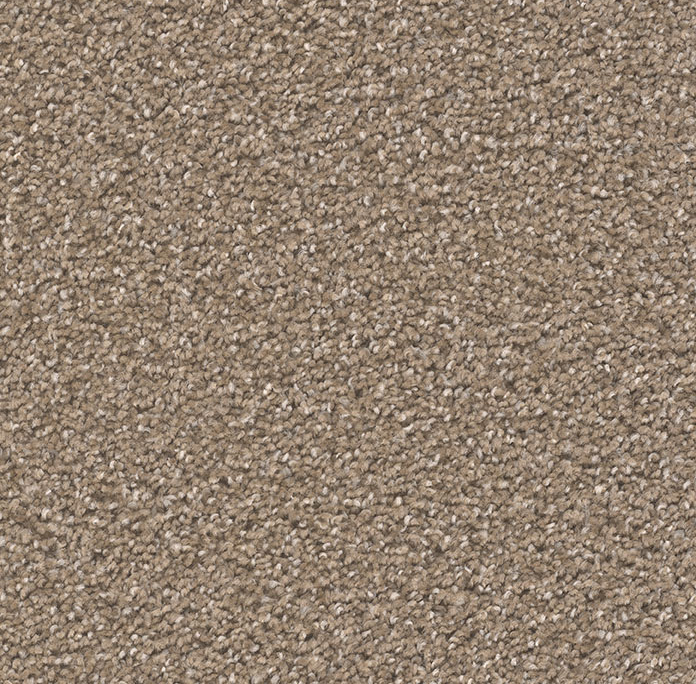 Click to enlarge CHESTNUT