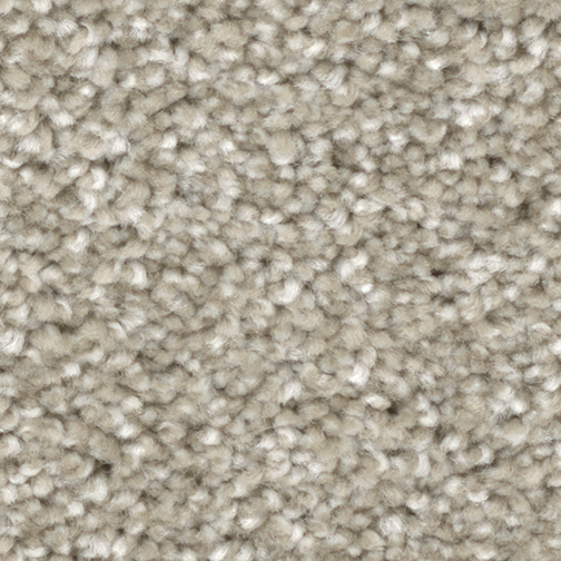Click to enlarge OYSTER SHELL