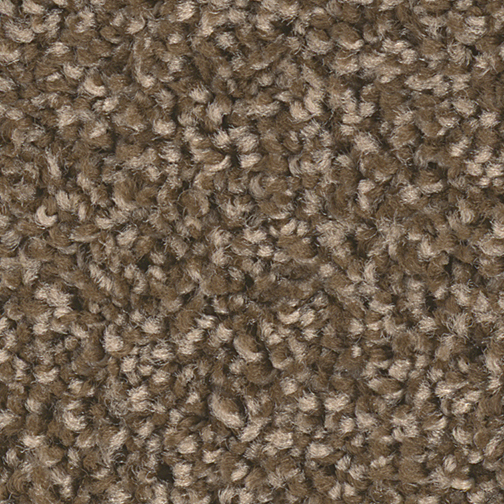 Click to enlarge BLACK WALNUT