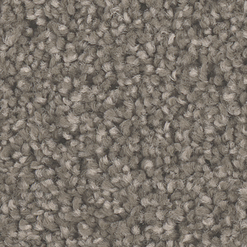 Click to enlarge RIVERBED