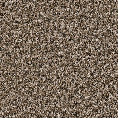 Click to enlarge TIGERS EYE