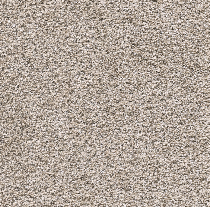 Click to enlarge DUSTY TRAIL