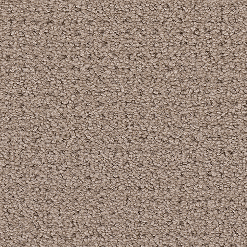 Click to enlarge CASHEW