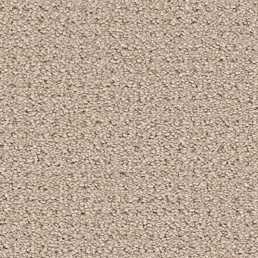 Click to enlarge EGGSHELL