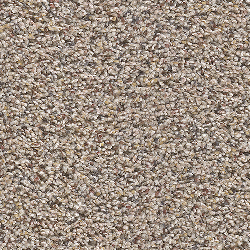 Click to enlarge NORTHERN PLAI