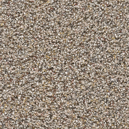 Click to enlarge HARMONIC TAN