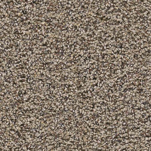 Click to enlarge BARLEY