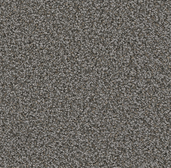 Click to enlarge MAGMA