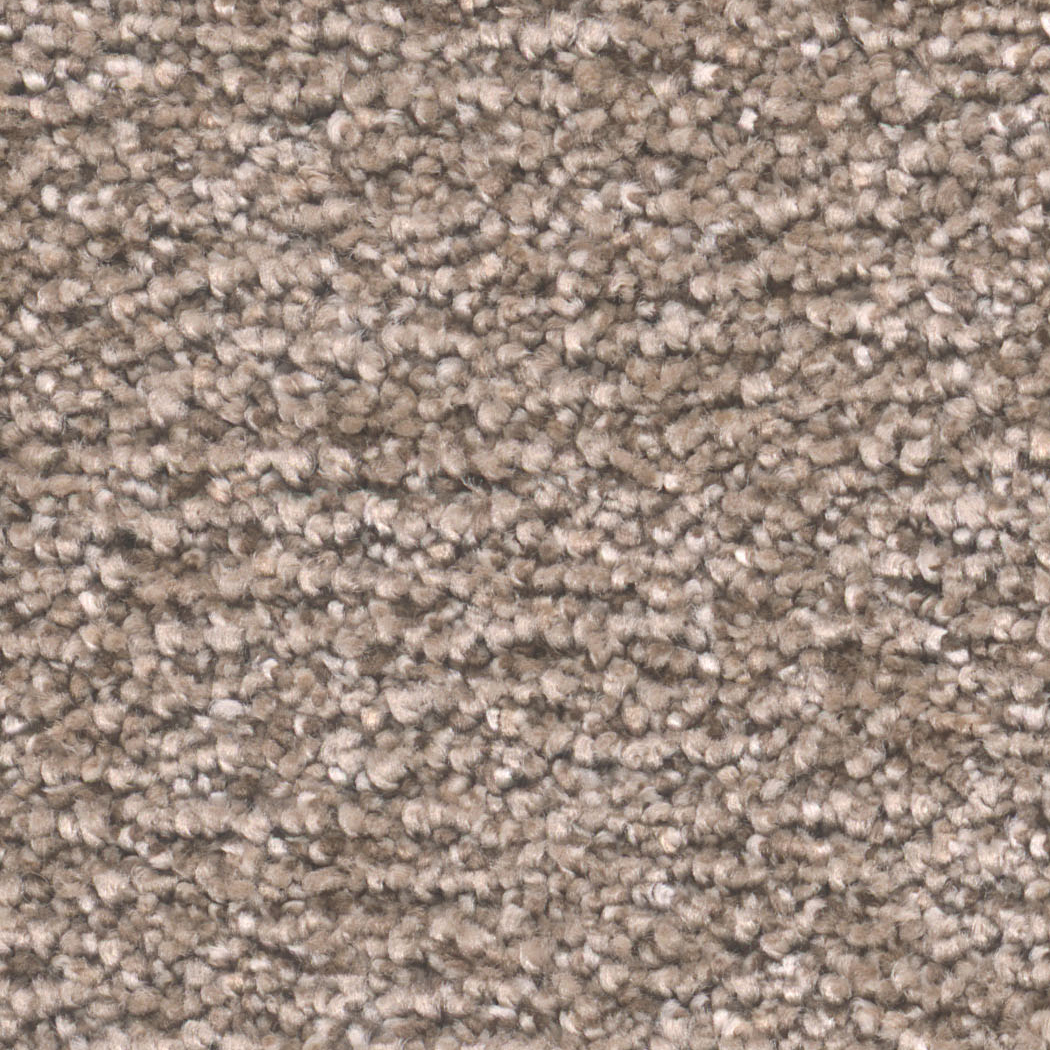 Show Stopper I in Mocha - Carpet by Engineered Floors
