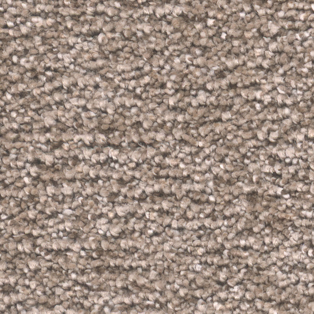 Click to enlarge MOCHA