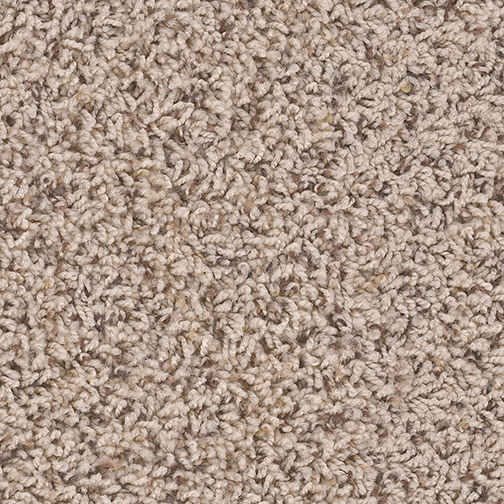 Click to enlarge CORAL REEF