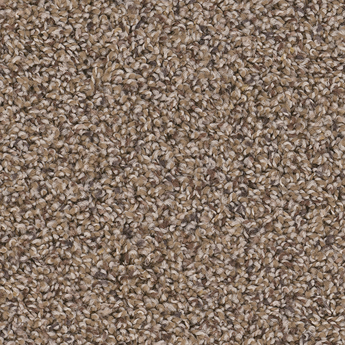 Click to enlarge CEDAR