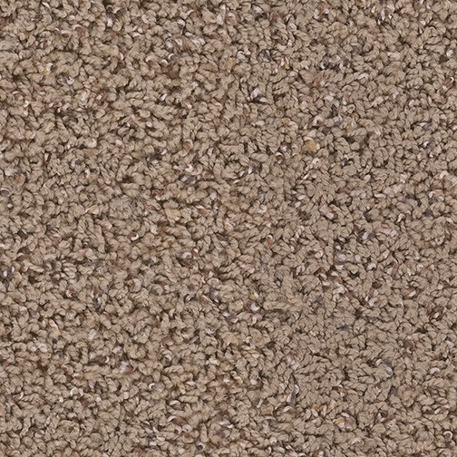 Click to enlarge SEA SHELL