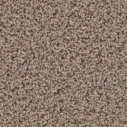 Click to enlarge VELLUM
