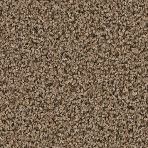 Click to enlarge PAINTED TAN