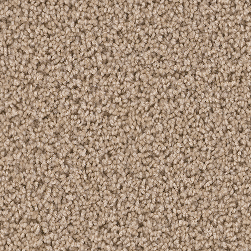 Click to enlarge CAMEL
