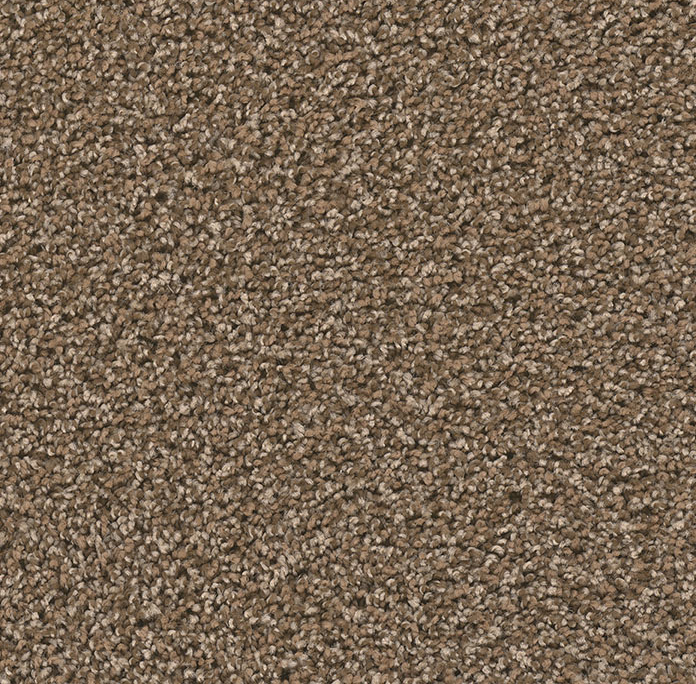 Click to enlarge MOCHA