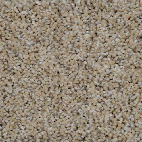 Click to enlarge MOCHA