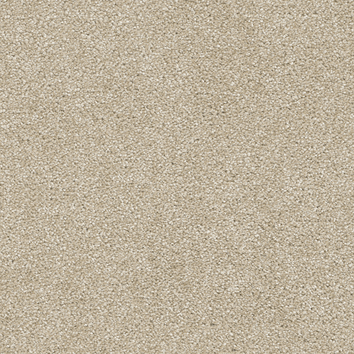 Click to enlarge CASHMERE