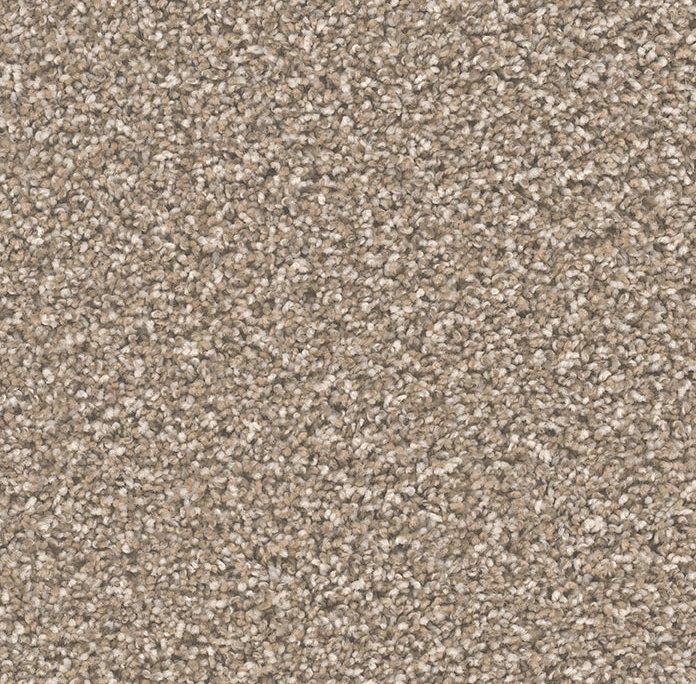 Click to enlarge GRAHAM CRACKER
