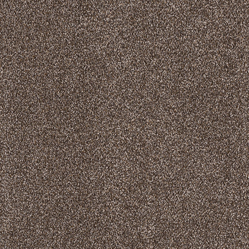 Click to enlarge SUMMER BRONZE