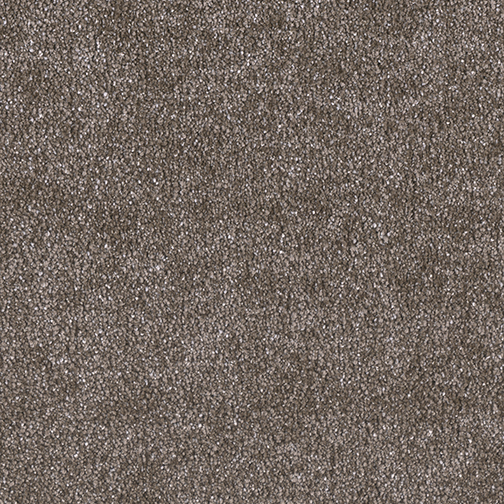 Easy Living III in Walnut Hill - Carpet by Engineered Floors