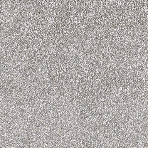 Easy Living III in Winter Veil - Carpet by Engineered Floors