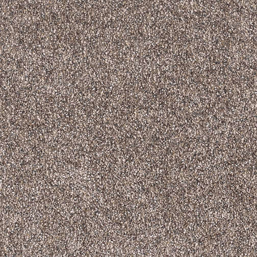 Easy Living III in Indian Sunset - Carpet by Engineered Floors