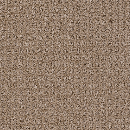 Santa Monica in Birch - Carpet by Engineered Floors