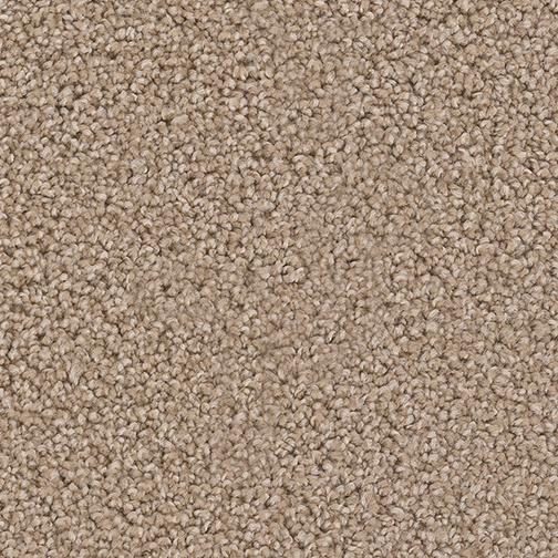 Exceptional in Adobe - Carpet by Engineered Floors