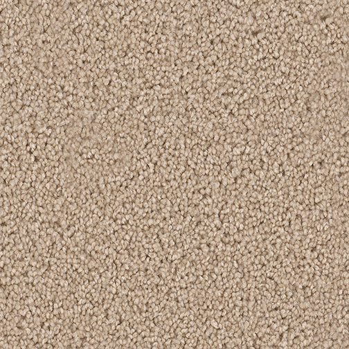Click to enlarge COOKIE DOUGH