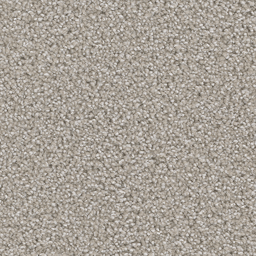Click to enlarge CLAM SHELL