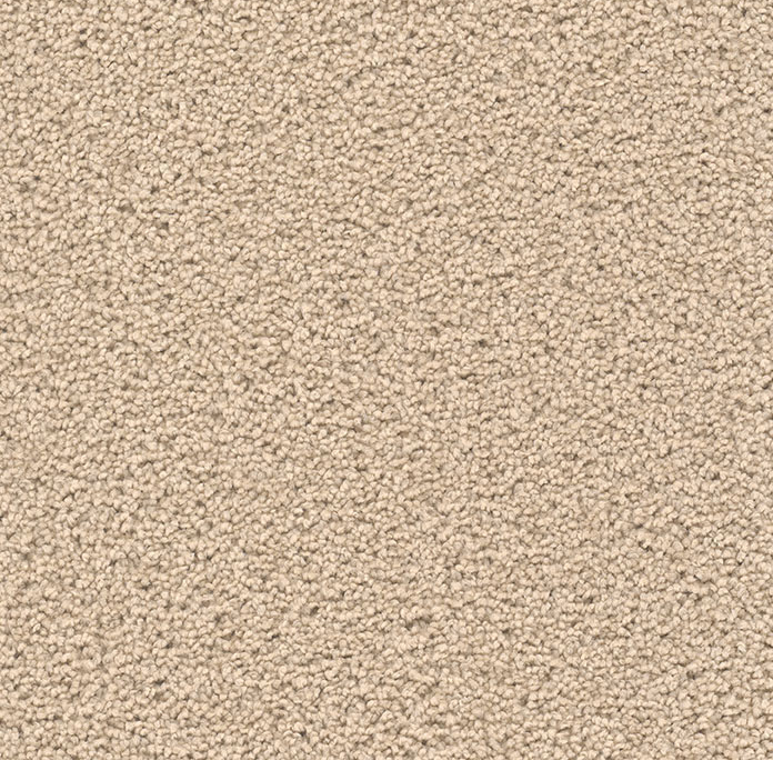 Click to enlarge COOKIE DOUGH