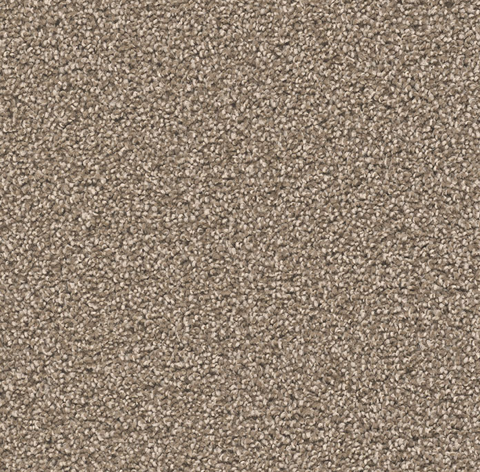 Click to enlarge DOVE